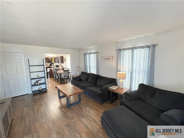 living area featuring dark wood-type flooring