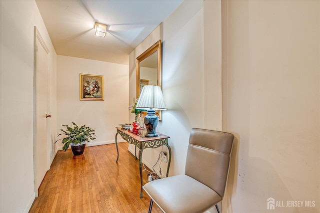 19-31 Lyons Ave, Newark, NJ 07112 - corridor with hardwood / wood-style floors and baseboards