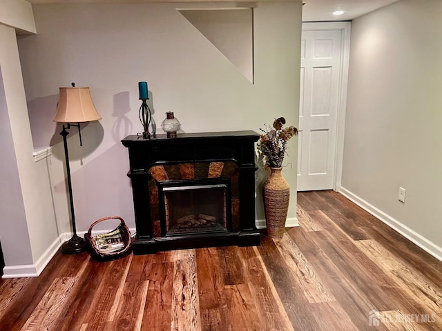 room details featuring a fireplace, wood finished floors, and baseboards