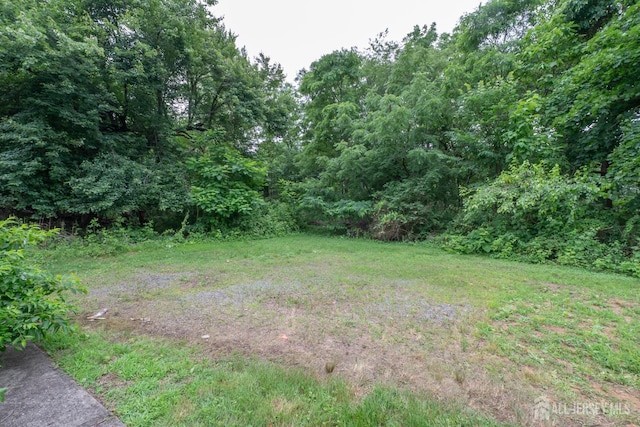 140 Prospect Plains Rd, Monroe, NJ 08831 - view of yard