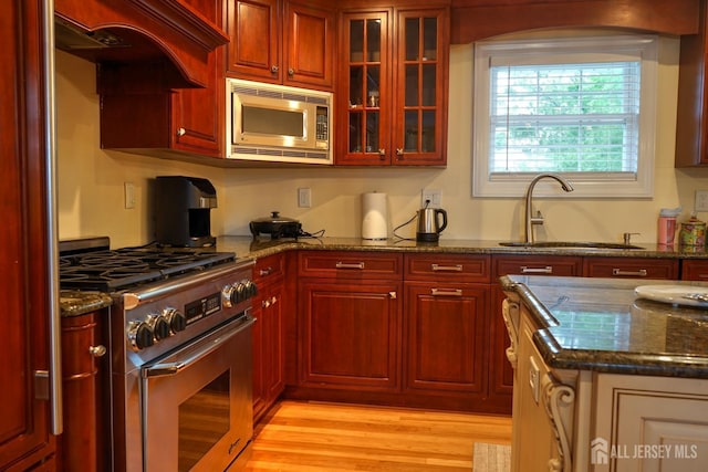 kitchen with stainless steel appliances, a sink, premium range hood, dark brown cabinets, and dark stone counters