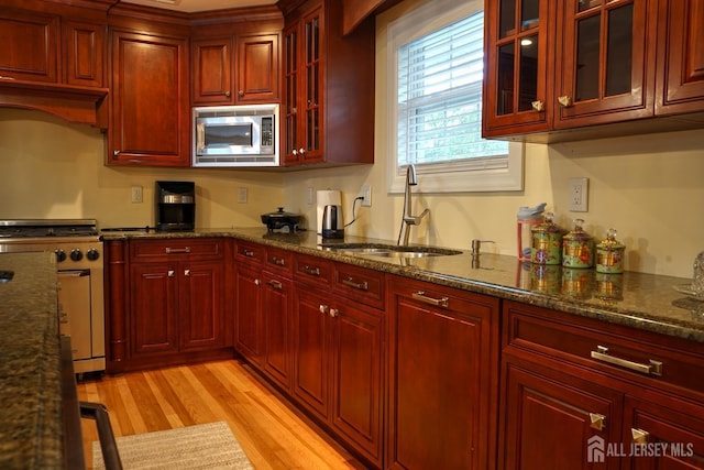 kitchen with appliances with stainless steel finishes, a sink, reddish brown cabinets, light wood finished floors, and dark stone countertops
