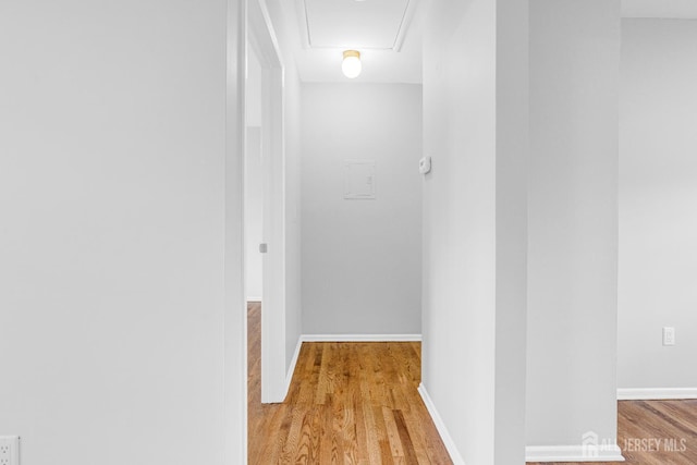 6512 Ave C Ave, Edison, NJ 08837 - photo 14