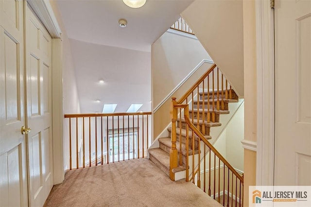 stairway with a skylight and carpet floors