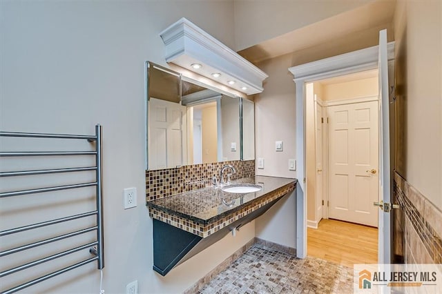 bathroom featuring a sink, backsplash, and wood finished floors