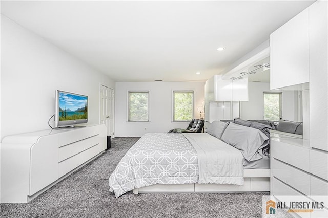 5 Leighton Dr, East Brunswick, NJ 08816 - bedroom with carpet flooring, multiple windows, and recessed lighting