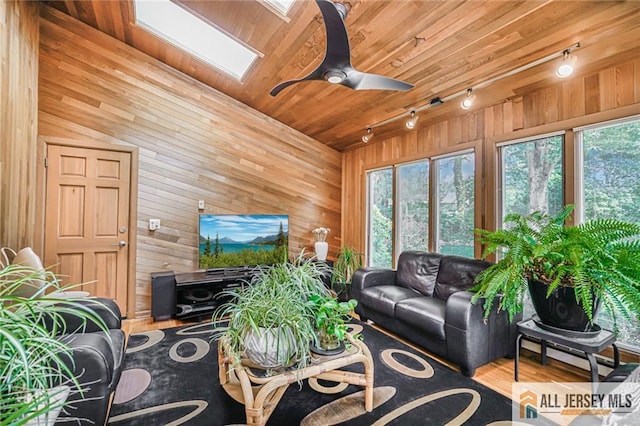 5 Leighton Dr, East Brunswick, NJ 08816 - living room with track lighting, a skylight, wood walls, a ceiling fan, and wood ceiling