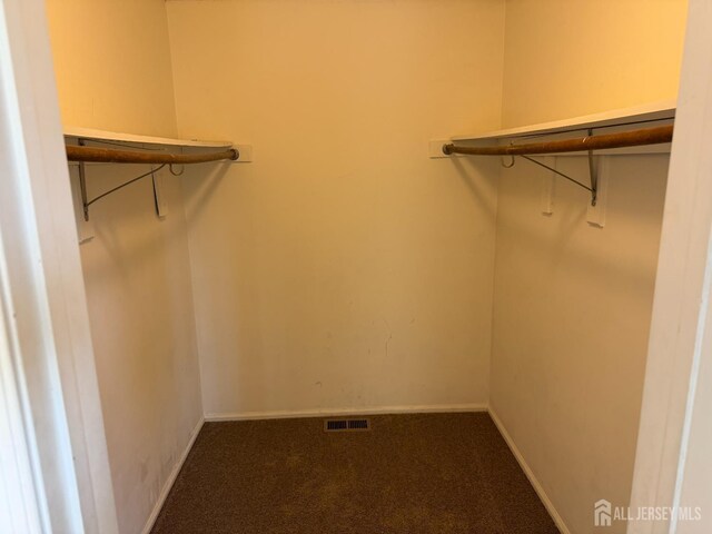 425 Northam Dr, North Brunswick, NJ 08902 - walk in closet featuring carpet flooring