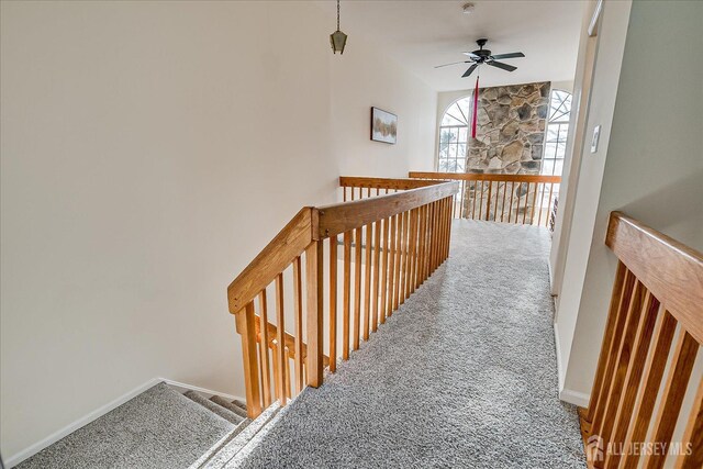 staircase with ceiling fan and carpet flooring