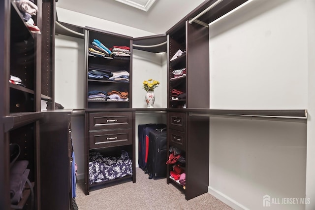 walk in closet featuring light colored carpet