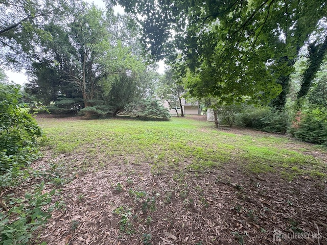 52 Ryders Ln, East Brunswick, NJ 08816 - photo 6