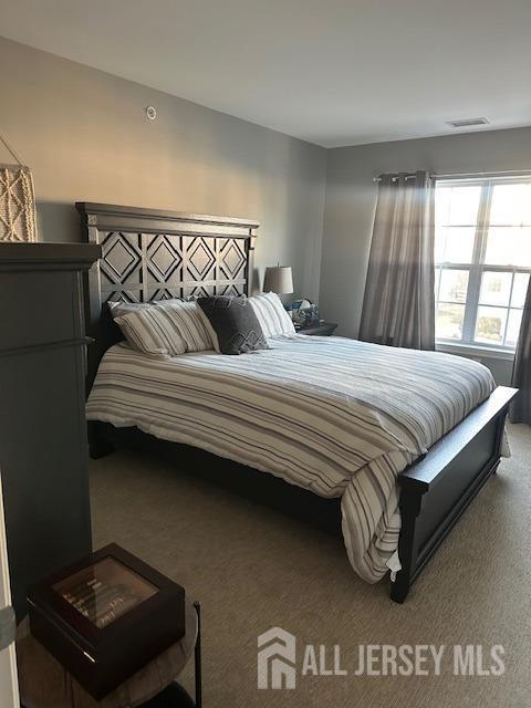 138 N Grabowski Dr Unit 1490, Sayreville, NJ 08859 - view of carpeted bedroom