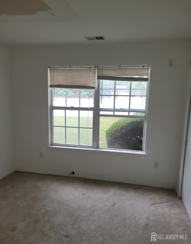 spare room with a wealth of natural light