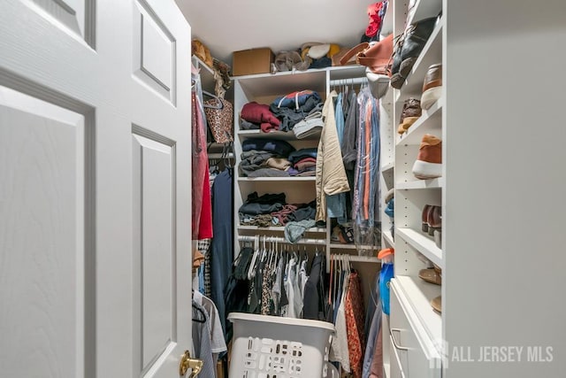 16 Russet Rd, South Brunswick, NJ 08824 - view of spacious closet