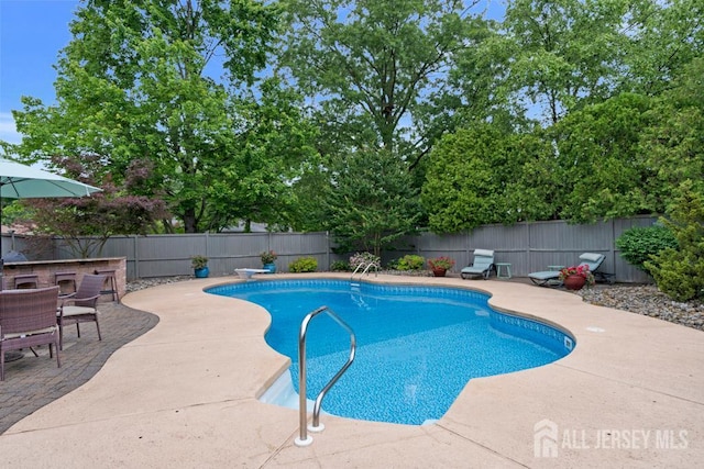 16 Russet Rd, South Brunswick, NJ 08824 - view of swimming pool with a patio and a fenced backyard