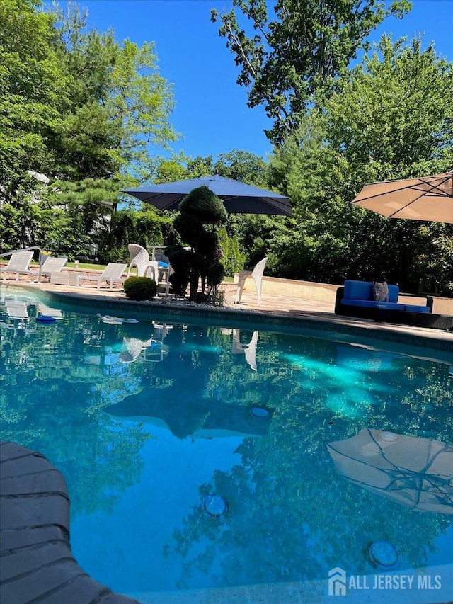 6 Lexington Ct, Monroe, NJ 08831 - view of pool