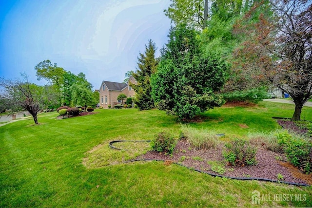 6 Lexington Ct, Monroe, NJ 08831 - view of green lawn