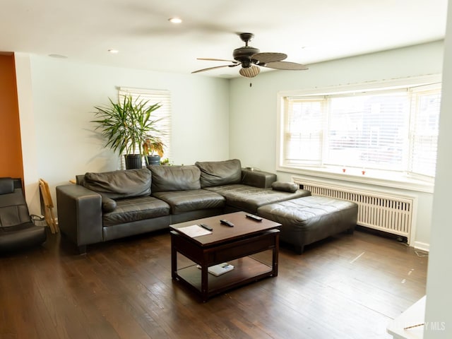 237 Cook Ave, Middlesex, NJ 08846 - living room with a ceiling fan, radiator heating unit, a wealth of natural light, and dark wood-style floors