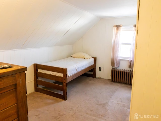 237 Cook Ave, Middlesex, NJ 08846 - bedroom with vaulted ceiling, light carpet, radiator, and a decorative wall
