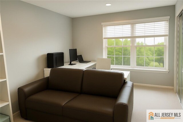 344 Danbury Ln Unit 344, East Brunswick, NJ 08816 - home office with recessed lighting and carpet floors