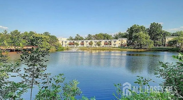 19 Lake Ave Unit 6A, East Brunswick, NJ 08816 - water view