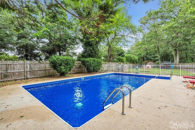 view of pool featuring a patio