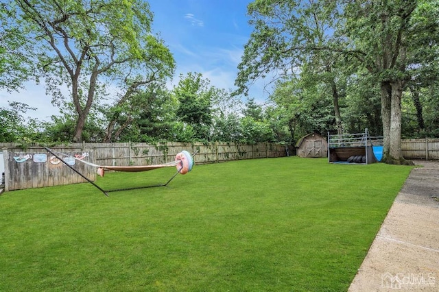 view of yard featuring a shed