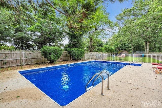 view of swimming pool with a patio area