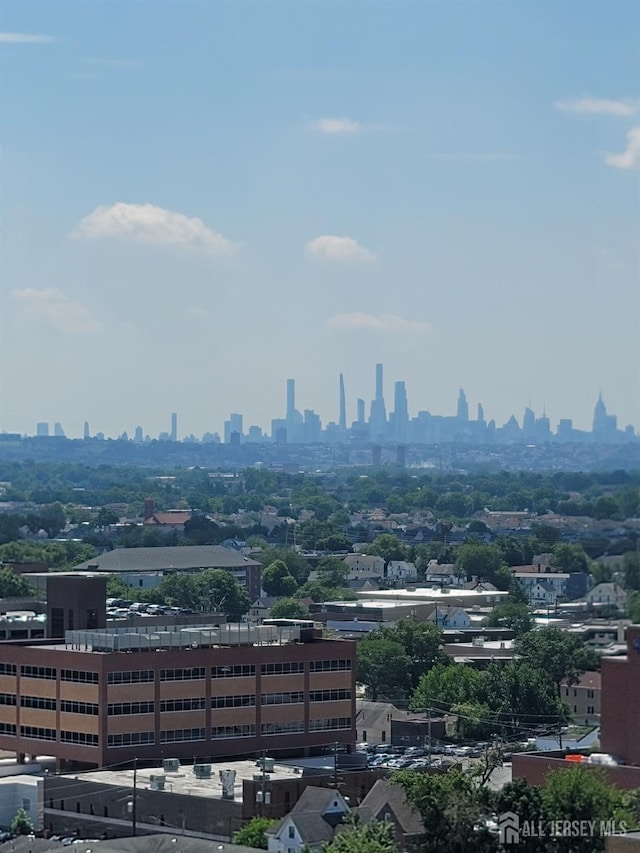 150 Overlook Ave Unit 15E, Hackensack, NJ 07601 - view of city skyline