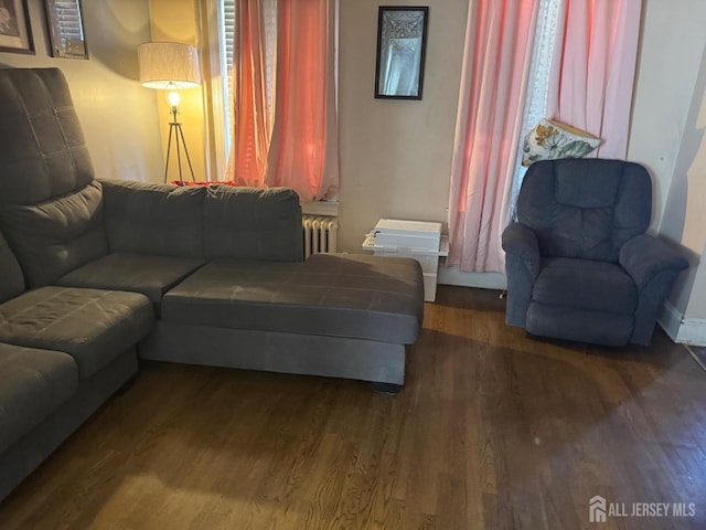 living area featuring radiator heating unit and wood finished floors