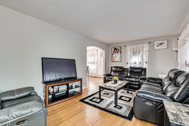 living room with hardwood / wood-style flooring