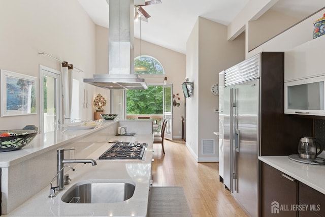 27 Mare Haven Ct, North Brunswick, NJ 08902 - kitchen with island range hood, stainless steel appliances, light wood finished floors, dark brown cabinetry, and high vaulted ceiling