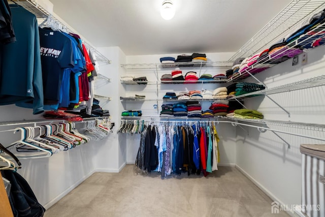 53 Rath Ln, East Brunswick, NJ 08816 - walk in closet featuring carpet flooring