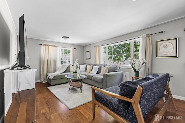 living room with baseboards and wood finished floors