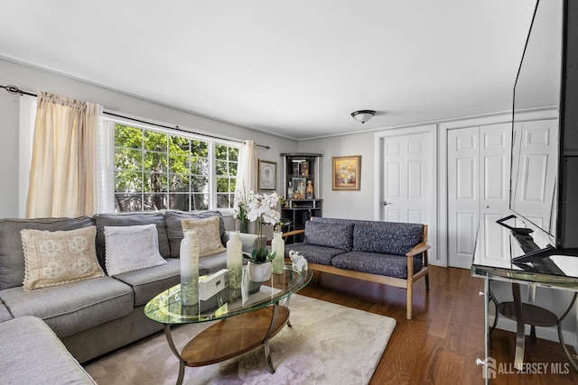 living area featuring wood finished floors