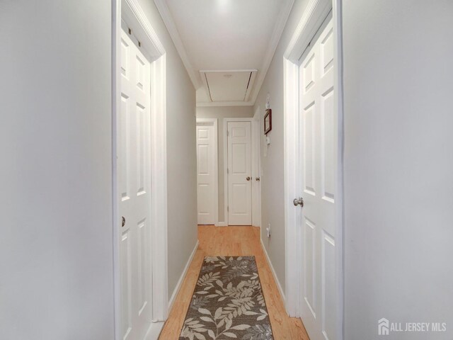 123 3rd St, Middlesex, NJ 08846 - hallway with attic access, light wood-type flooring, and baseboards