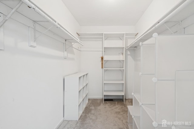 spacious closet with carpet