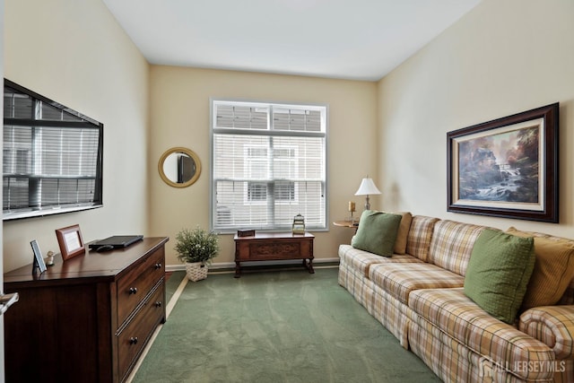 living area with baseboards and carpet floors