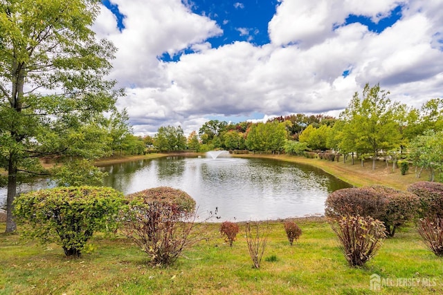 property view of water