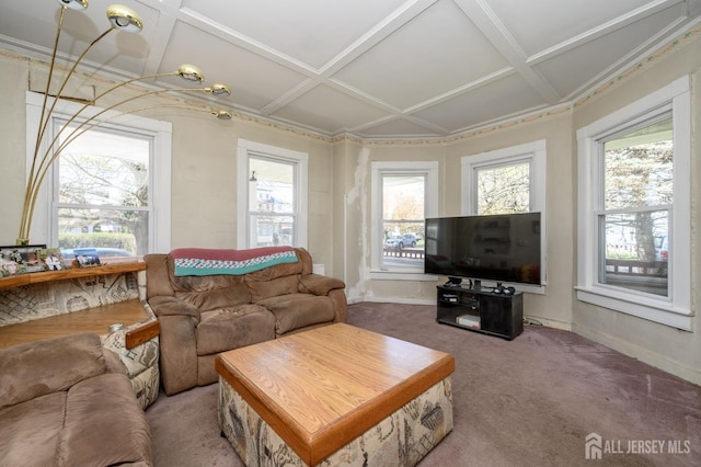 667 Seminary Ave, Rahway, NJ 07065 - carpeted living area featuring coffered ceiling and healthy amount of natural light