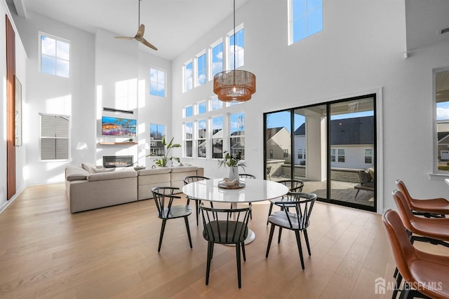 dining area featuring ceiling fan, visible vents, light wood-style floors, and a glass covered fireplace