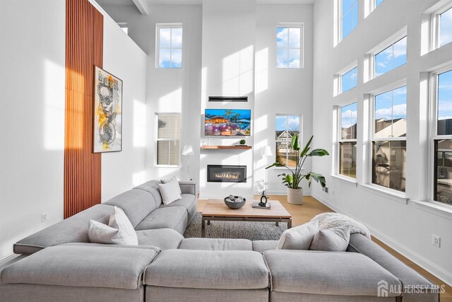 living room with hardwood / wood-style flooring