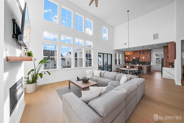 living room featuring ceiling fan and light wood-type flooring