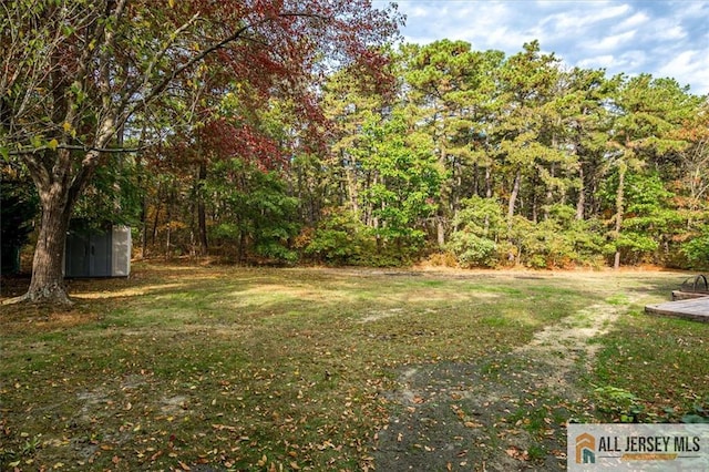 view of yard with a shed