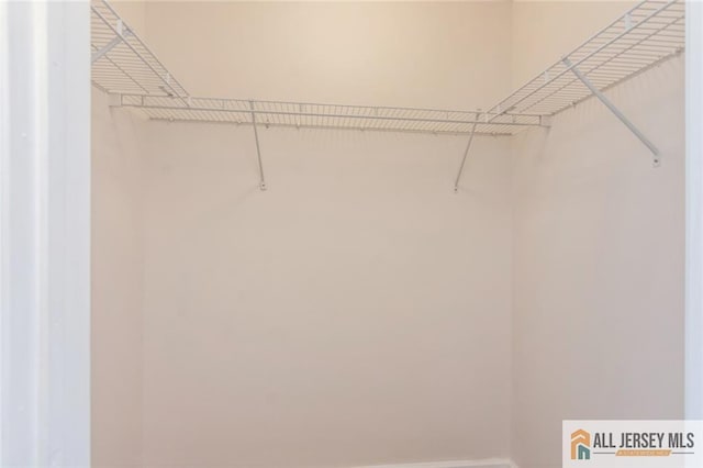 199 Pinelli Dr, Piscataway, NJ 08854 - view of spacious closet