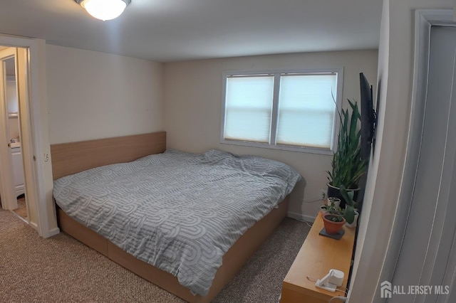 202 Jackson Ave, Edison, NJ 08837 - bedroom with carpet flooring