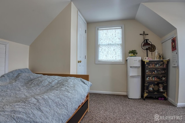202 Jackson Ave, Edison, NJ 08837 - bedroom featuring vaulted ceiling, carpet floors, and baseboards