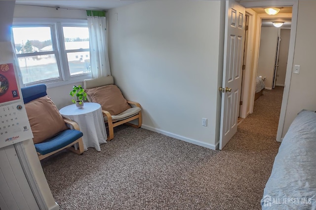 202 Jackson Ave, Edison, NJ 08837 - sitting room with carpet flooring and baseboards