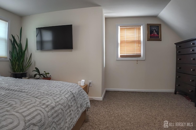 202 Jackson Ave, Edison, NJ 08837 - carpeted bedroom with lofted ceiling and baseboards