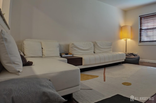 202 Jackson Ave, Edison, NJ 08837 - living area featuring wood finished floors and baseboards
